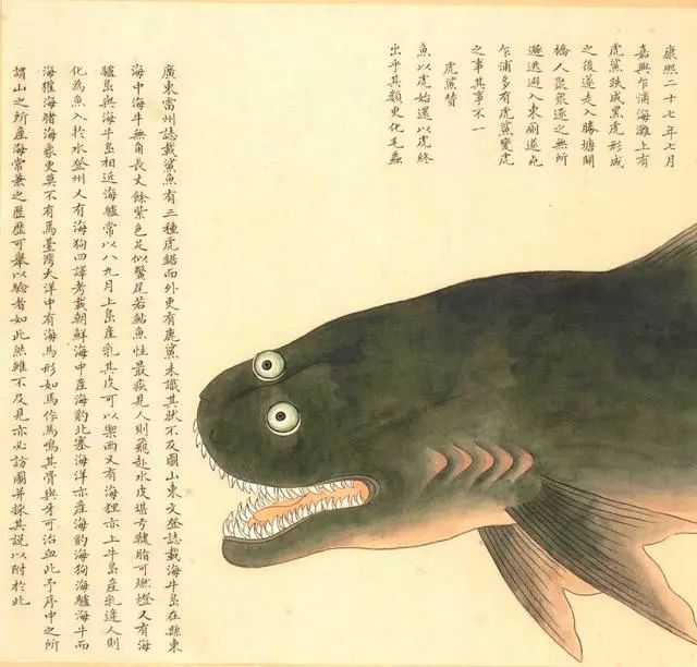 清代海错图有用吗,故宫海错图展