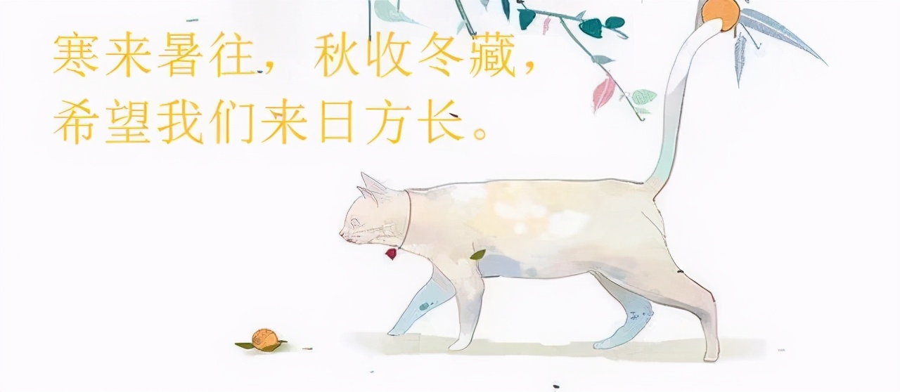 男主美强惨被女主救赎,男主美强惨女主治愈系的小说