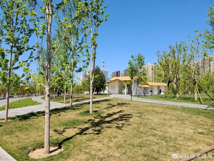 魅族17pro和三星note10+,三星s20和魅族17pro哪个好