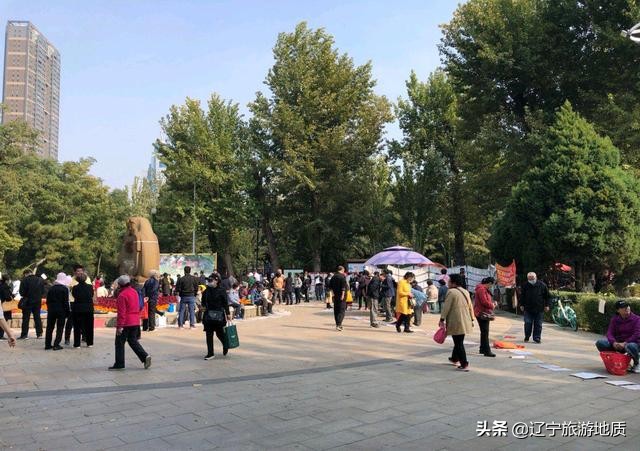 沈阳南湖公园老年相亲,最新沈阳南湖公园相亲