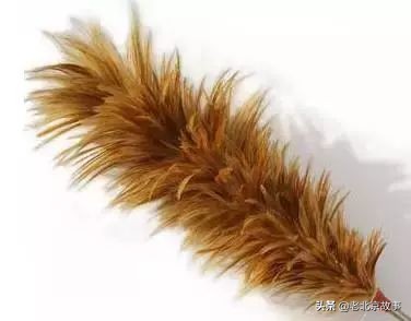 真牛！咱北京人玩剩下的东西，成了世界潮流