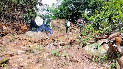 太美了！鼎湖这条宝藏级徒步线路，现在去刚刚好！