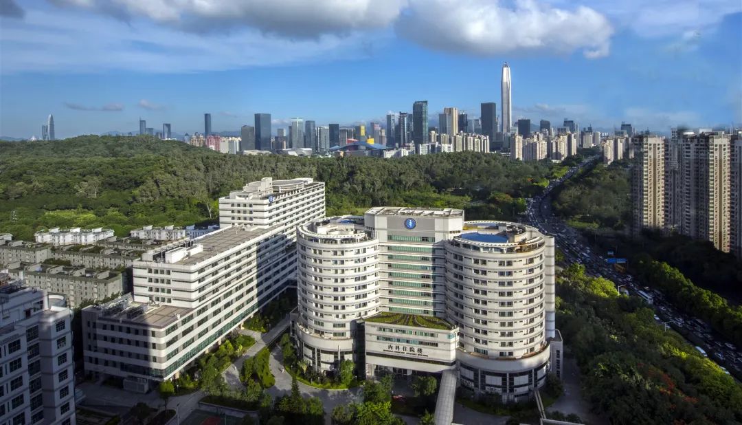 被流浪猫咬了24小时有什么事,被感染新冠的猫咬了一口