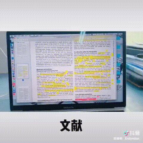 抖音版江直树小宇,抖音江直树医生