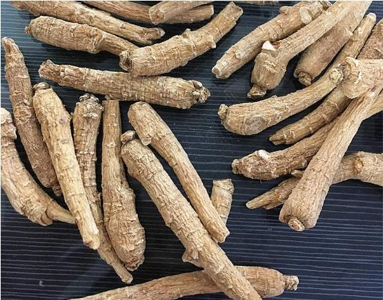 西洋参心脏病能不能喝,心血管疾病适合吃西洋参吗