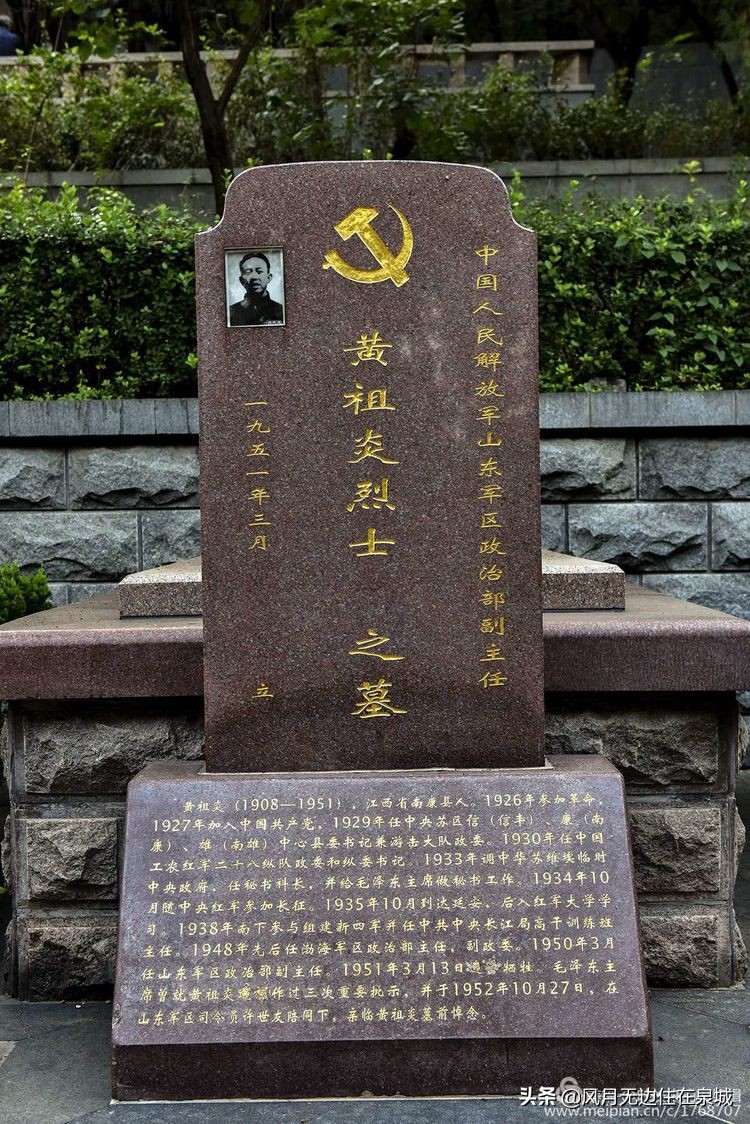 济南的法国梧桐,济南梧桐树美景