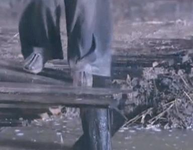 国民妹妹张子枫的成名秘事,国民妹妹张子枫戏路受限