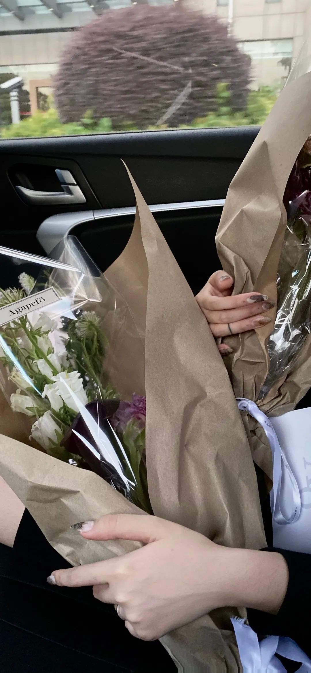 军人聊天背景图可爱女,聊天背景图可爱星黛露