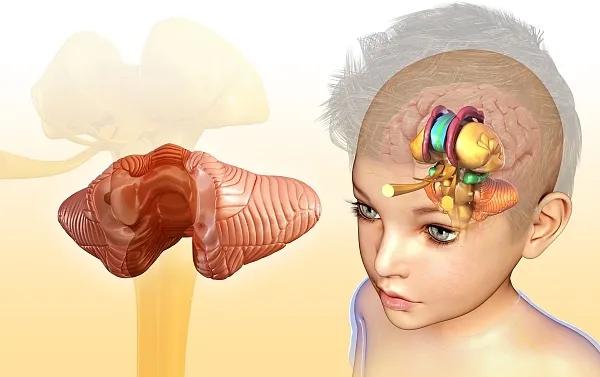 多动症孩子能过度兴奋么,多动症为什么要吃兴奋神经的药