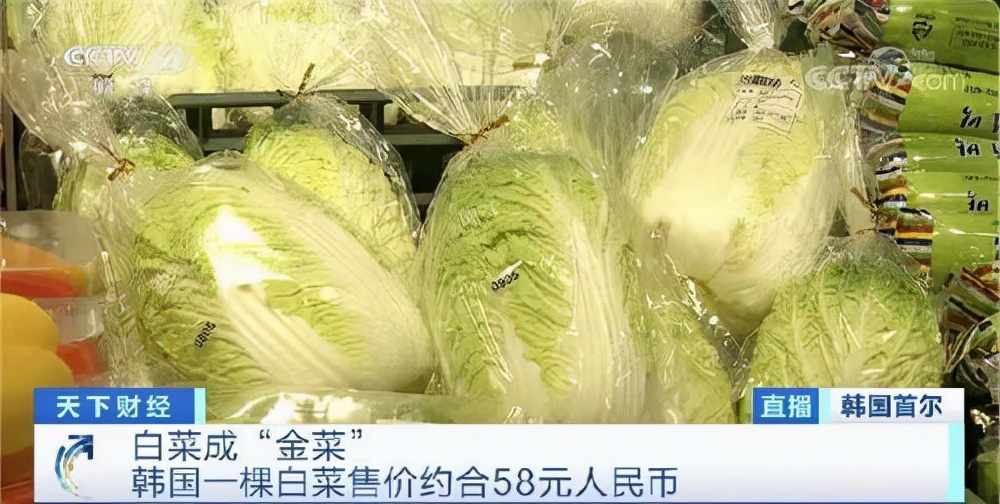 韩国白菜价格暴涨70%，无菜可腌让韩国主妇发愁｜欧界