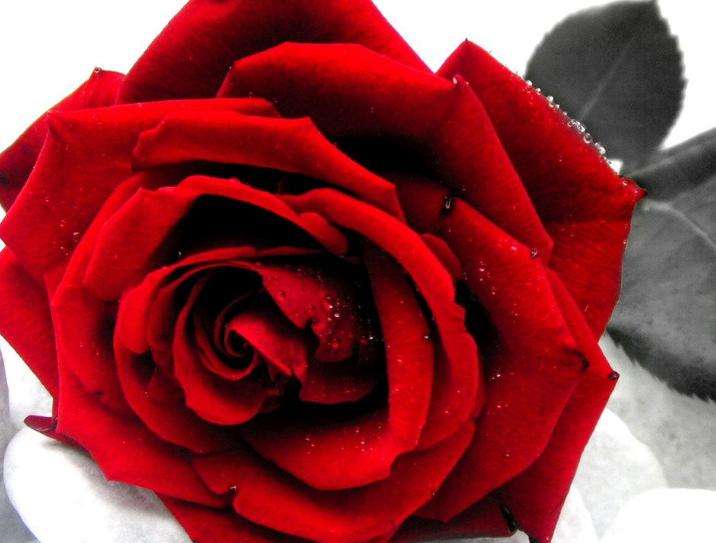 从当这首歌开始写的一些闲言碎语