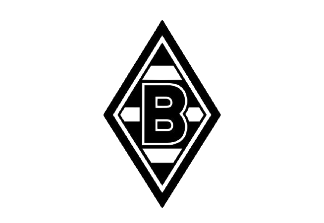 足坛伪球迷指南奥地利,多特球迷入坑