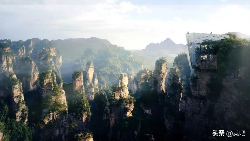 菜吧农庄创意设计,菜吧生态园规划