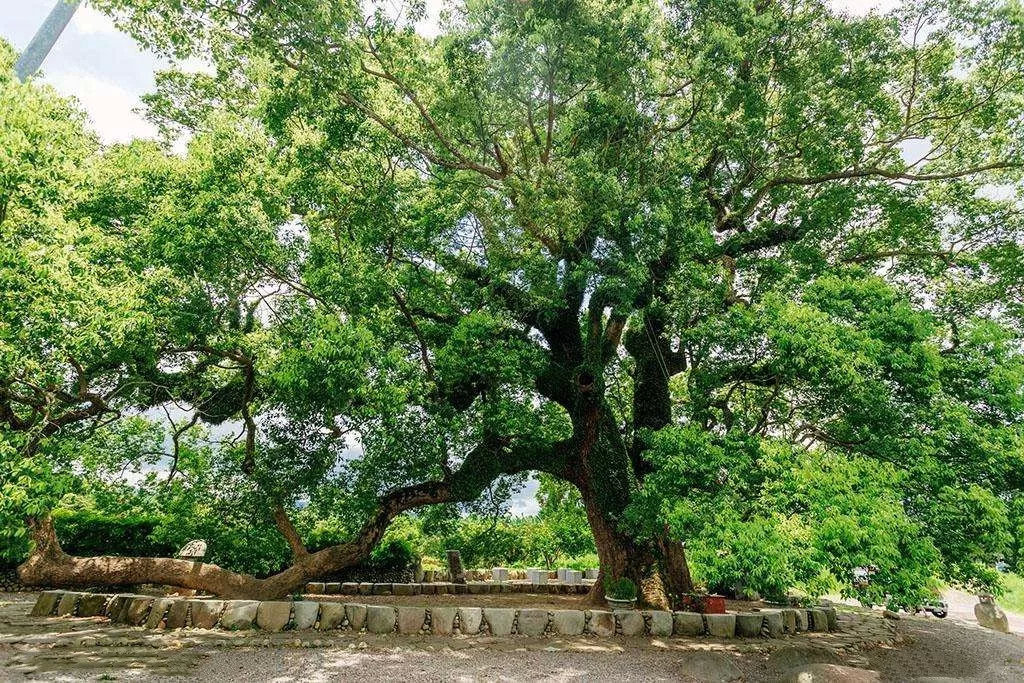 11月婺源旅游全攻略,婺源国庆旅游攻略3天2晚