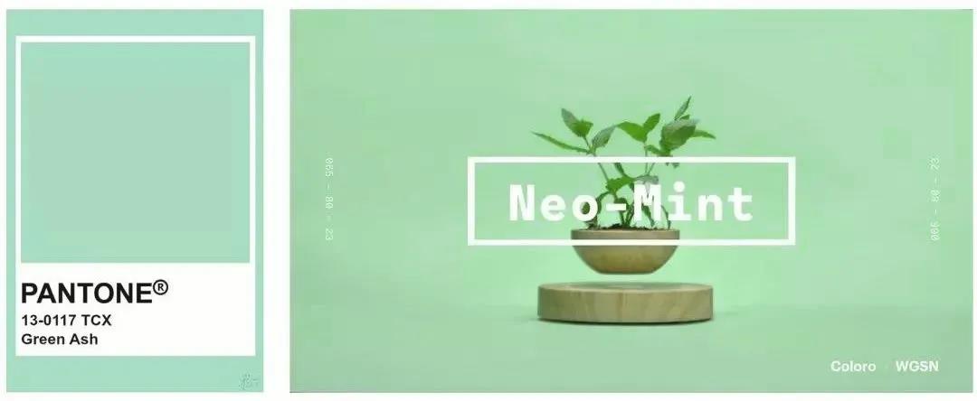 前方引起的极度舒适,前方画面引起极度舒适