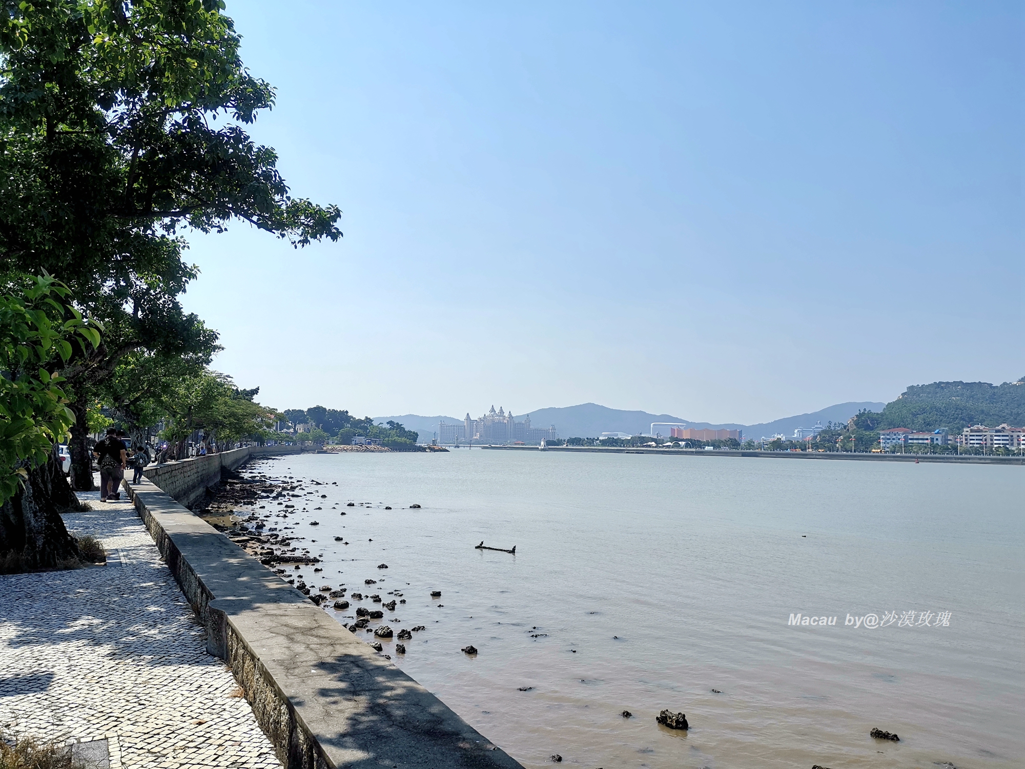 澳门出名美食,澳门有名的美食街是哪里