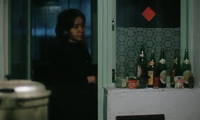 李冰冰警察电影老片子,李冰冰国产电影