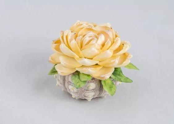 海边捡的贝壳可以做什么手工,贝壳创意手工种花