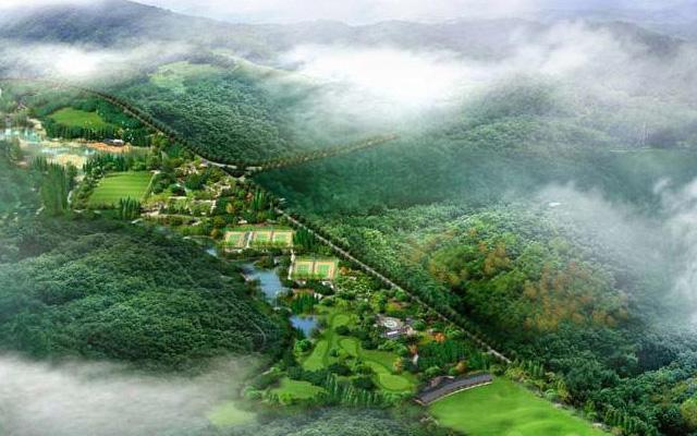 浙江有哪些奇特的景观,浙江有哪些珍稀花草