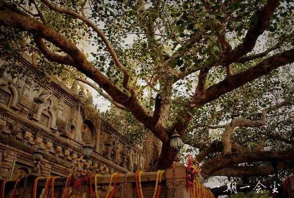 十年后的上海还有发展吗,上海再过二十年能赶上孟买吗