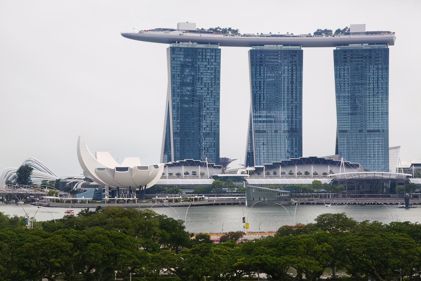 「怀念系列」新加坡|平价米其林+小众景点,3.5D我们不走寻常路3