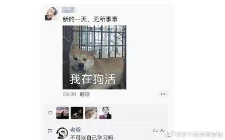 屏蔽爸妈朋友圈竟藏着这些秘密,千万别屏蔽爸妈的朋友圈