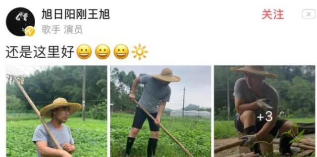 同一个乐团，一个身价百万成富豪，另一个流落街头靠卖唱！可惜