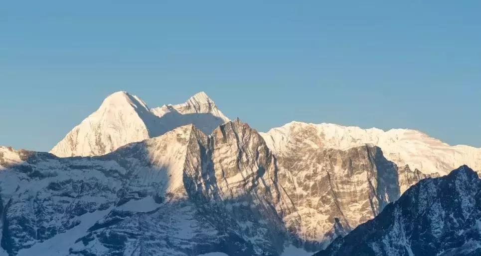 中药知识220种常见中药材,中药药性400味初学必背