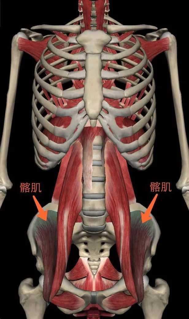 腰肌劳损正确的康复方法是什么,腰肌劳损正确的康复方法