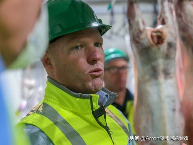 澳大利亚剔骨工到底有多累,澳大利亚剔骨工现状