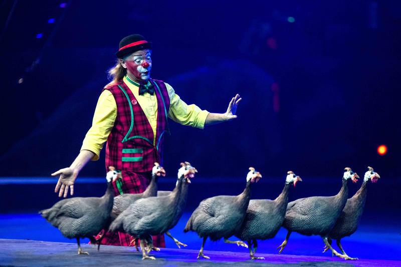 广州长隆野生动物世界旅游攻略,长隆野生动物世界攻略2-3天广州游