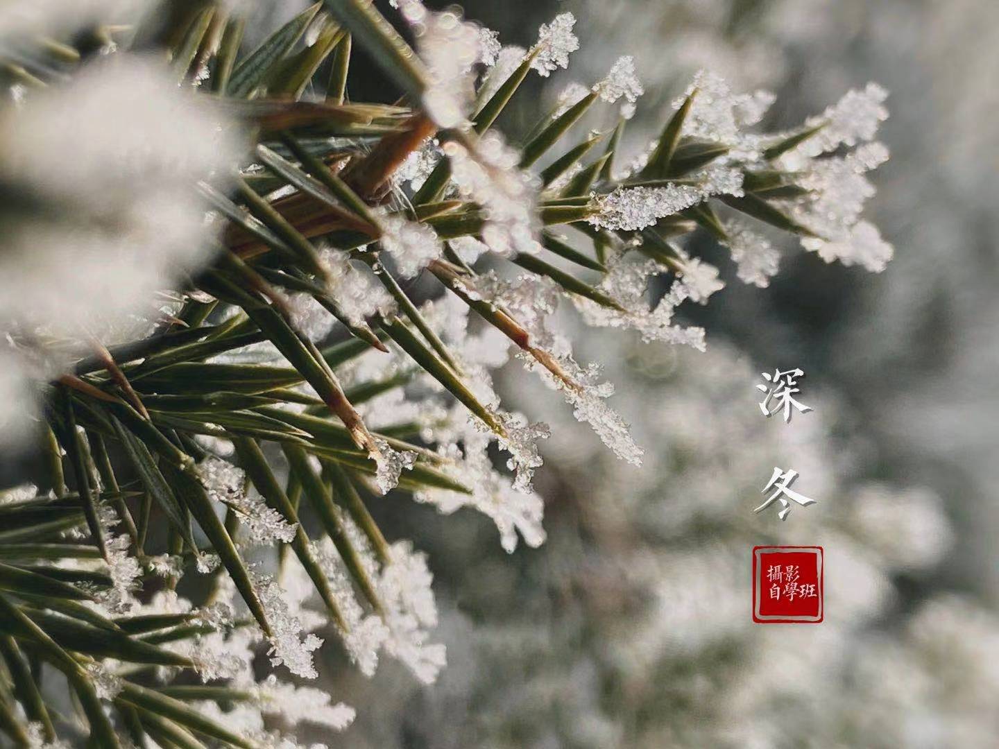 苹果手机拍照需要注意什么,一学就会的iphone手机摄影技巧