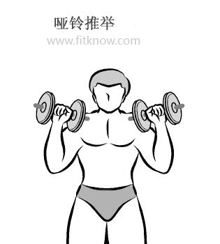 哑铃锻炼胸肌的最佳动作图解,哑铃锻炼手臂图解
