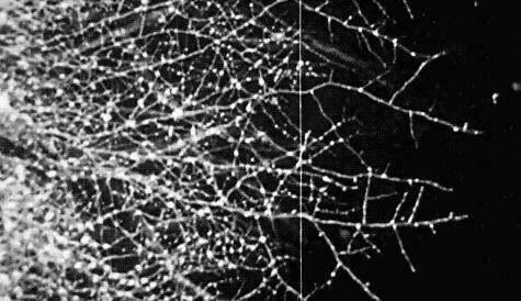 拉个肚子，心跳却突然没了！深圳“包租婆”为此两进ICU