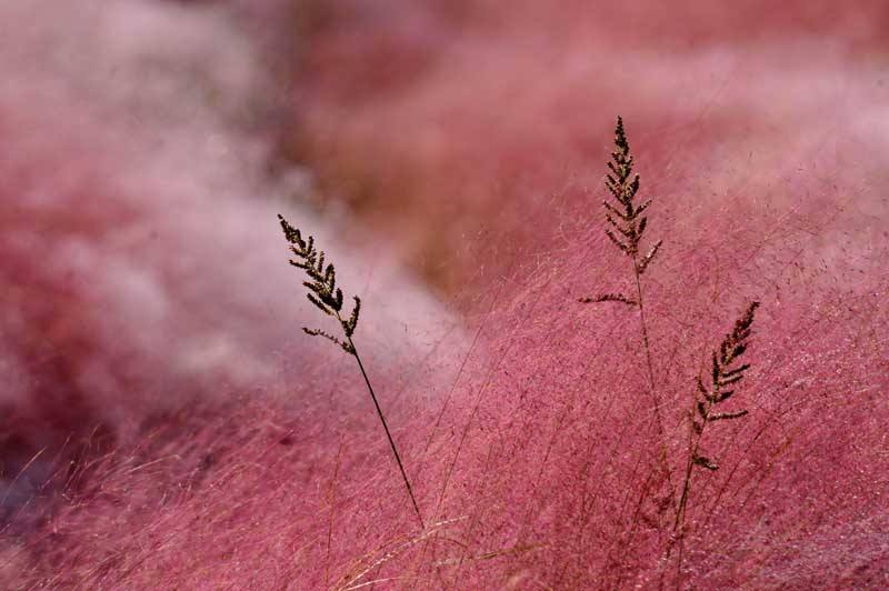 爱上特种兵影视片段,爱上北斗星男友电视剧