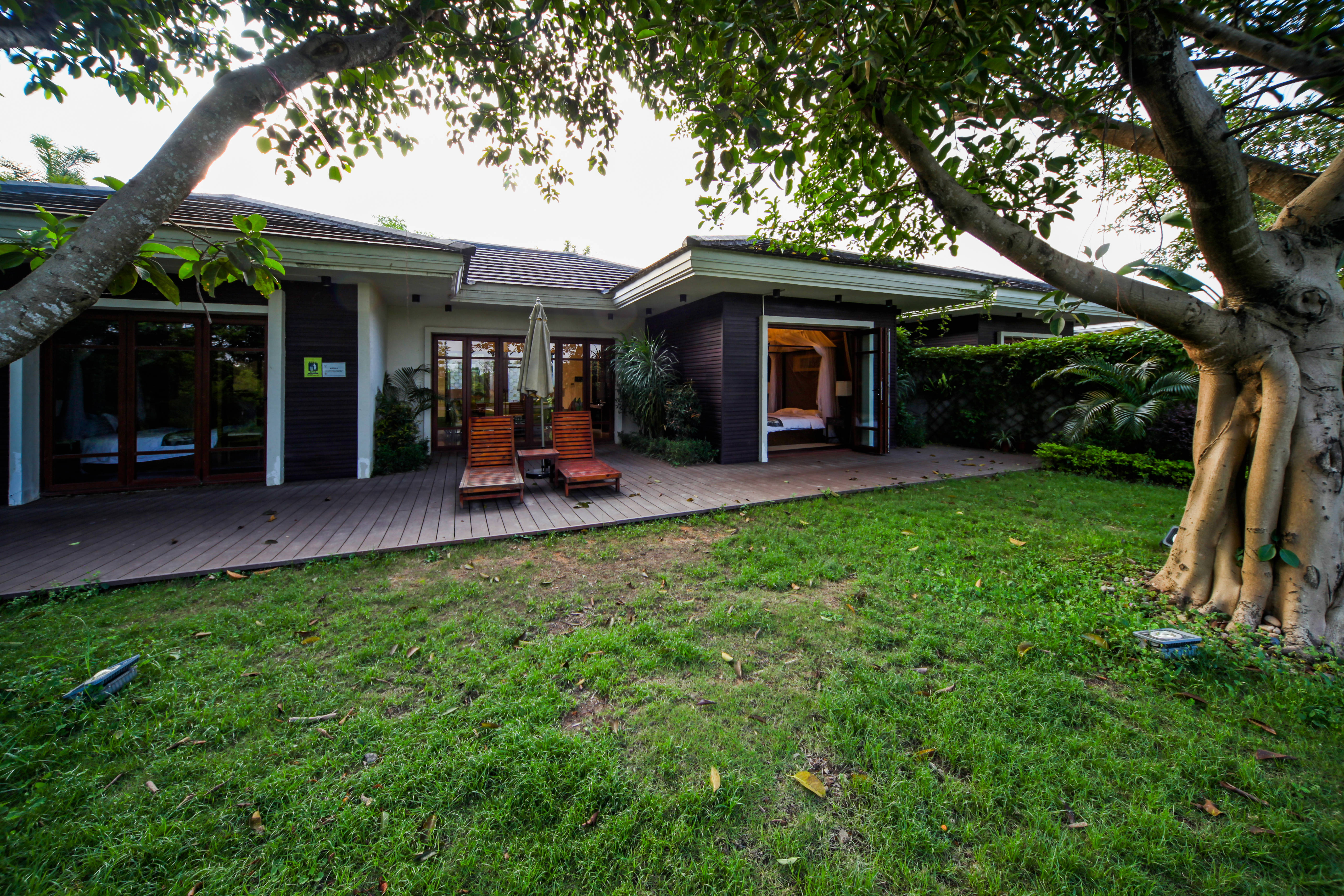 来全球候鸟度假酒店，住别墅，骑行观鸟，给孩子特别的儿童节礼物