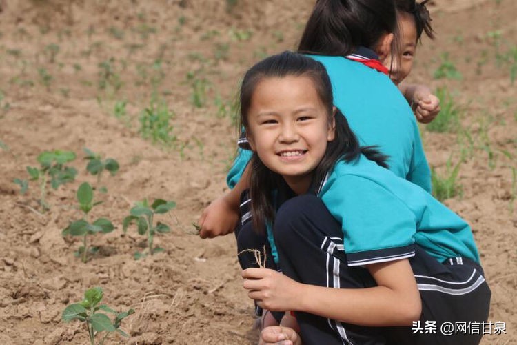 延安甘泉：播种绿色希望，收获金色成长——记甘泉县第三小学综合实践活动