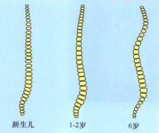 不需要买的十大母婴用品,盘点最没用的母婴用品第一名图片