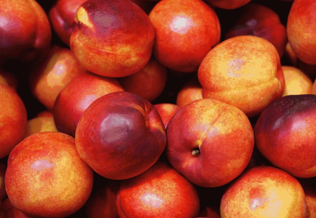 我不是孙悟空，但爱害羞的这个油桃是我的菜，颜值高，吃起还香甜