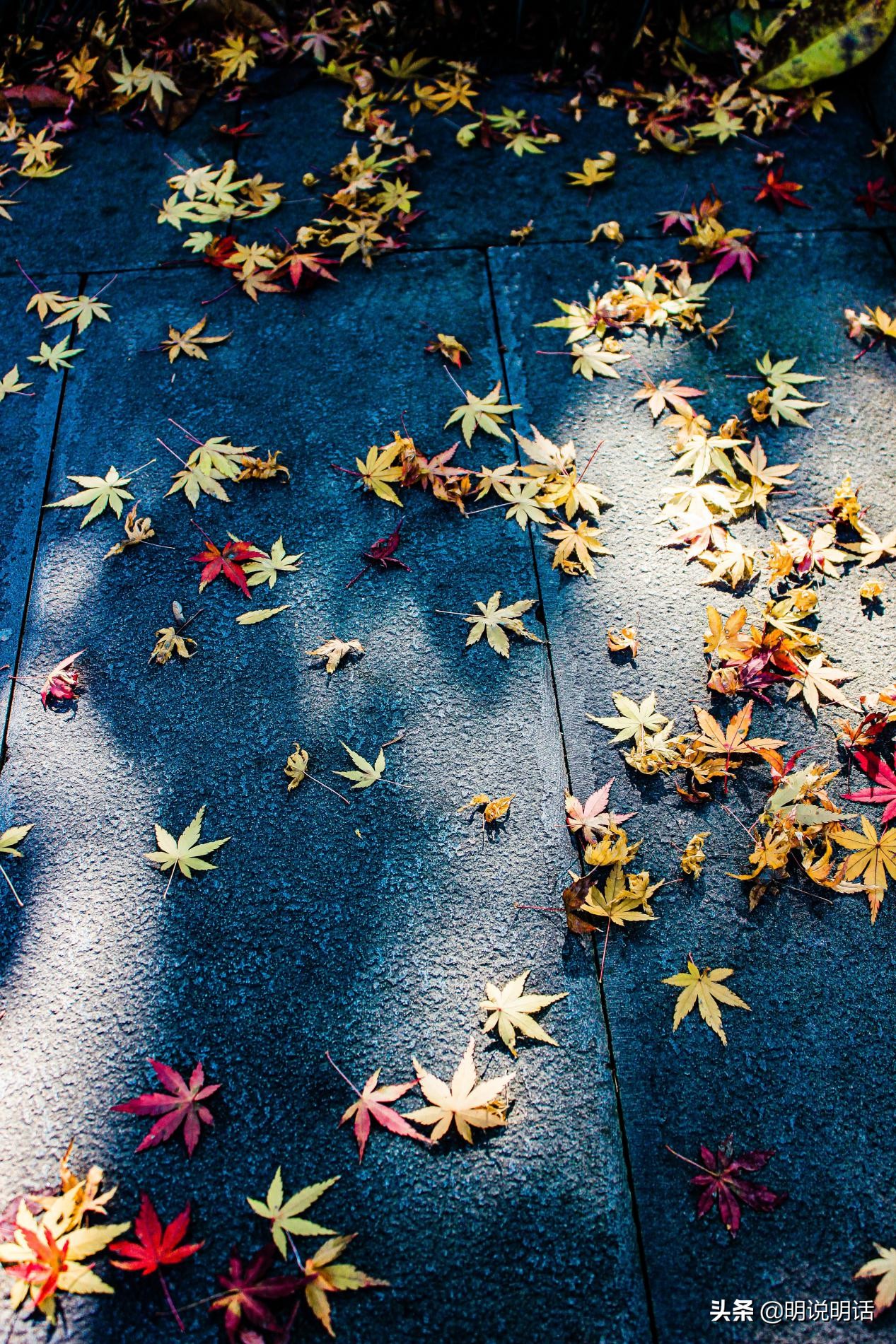 杭州灵隐寺张国荣,杭州有名的寺庙求姻缘