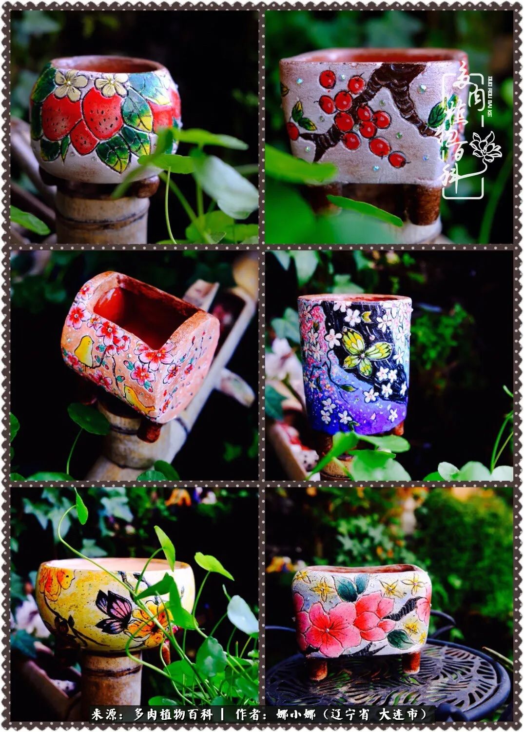 你是盆我是花，你护我周全，我为你绽放