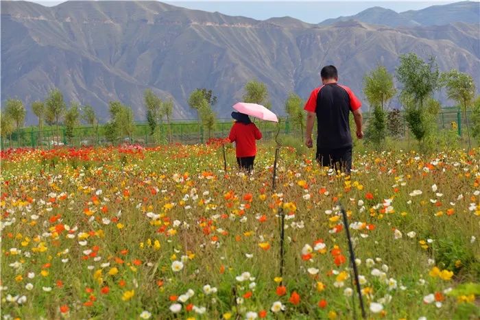 美爆了！让全世界听到，我的名字叫白银！！！