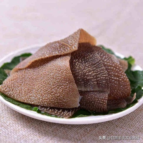 发毛肚技术视频,毛肚发制方法