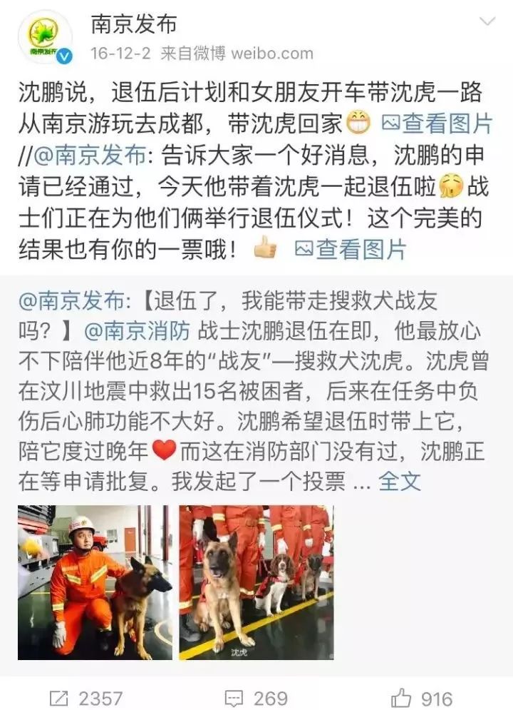 汶川地震狗救了32条人命,汶川地震狗狗救人21人