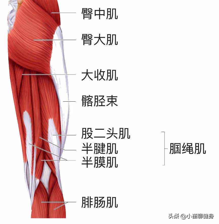 靠墙静蹲对膝盖好还是不好,膝盖蹲下疼痛做什么锻炼有帮助