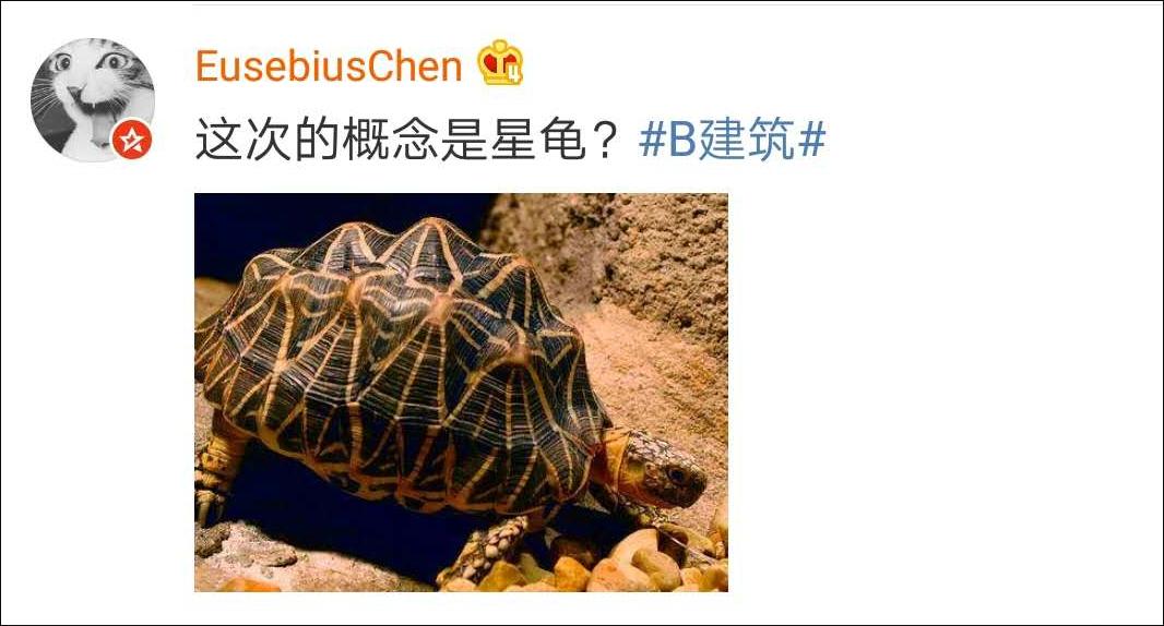 恒大莲花足球场还要继续修吗,恒大足球场最新方案