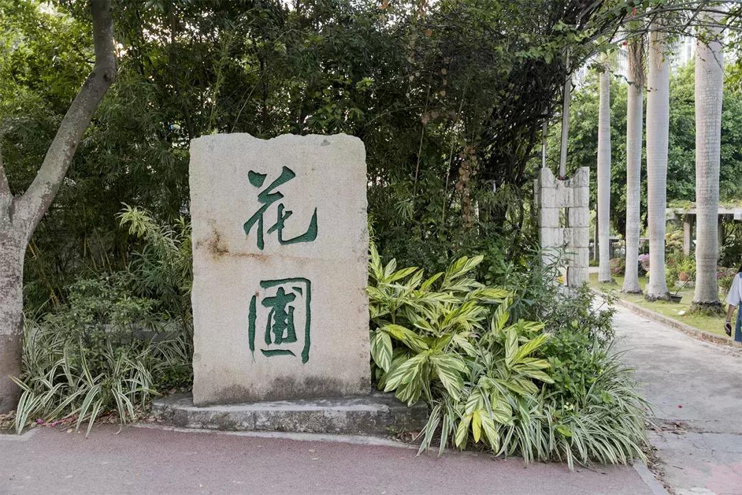 深圳大学游玩攻略一日游,深圳大学打卡攻略