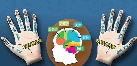 摘除多数内脏仍能活：你不知道人体的十个秘密