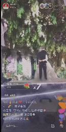 那些网红都是怎么突然火起来的,网红冰粉杨梅怎么红起来的