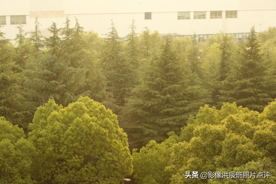 黑色背景怎么拍出质感产品,摄影黑色背景怎么拍得更黑